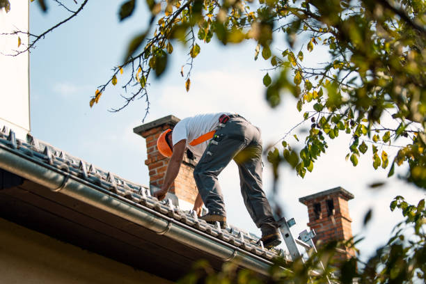 Best Roof Leak Repair  in Ozk, AR