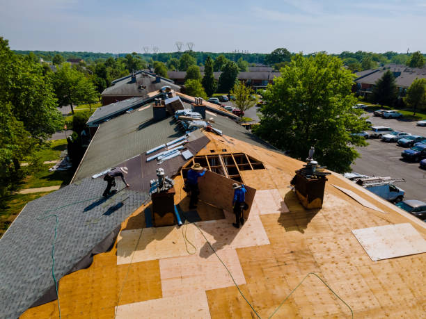 Best Flat Roof Repair Services  in Ozk, AR