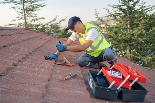Best Gutter Installation and Roofing  in Ozk, AR