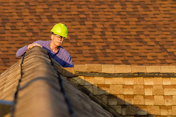 Best Emergency Roof Repair  in Ozk, AR